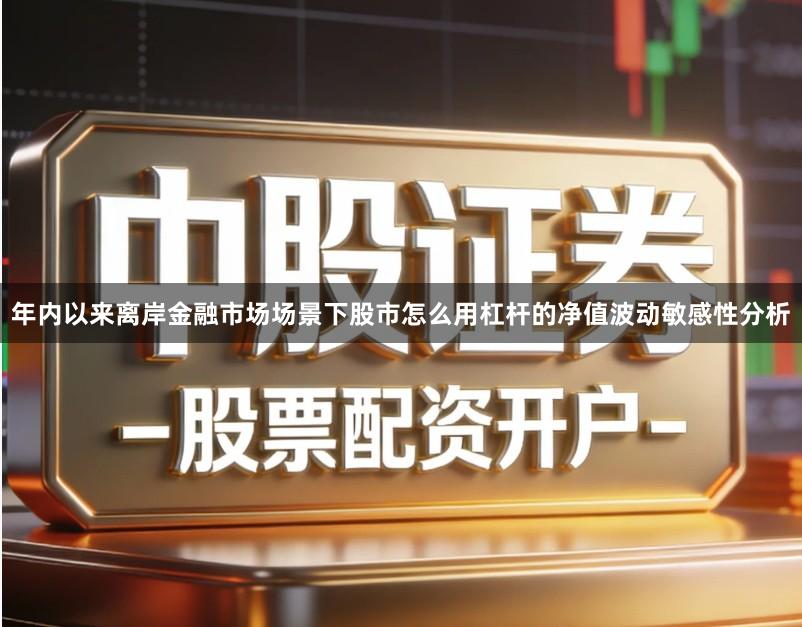 年内以来离岸金融市场场景下股市怎么用杠杆的净值波动敏感性分析