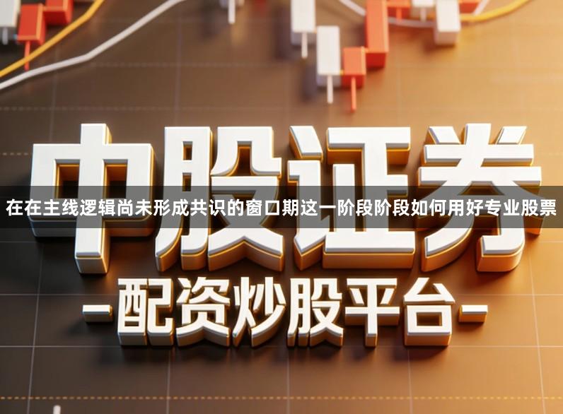 在在主线逻辑尚未形成共识的窗口期这一阶段阶段如何用好专业股票